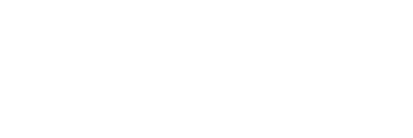 logo not found